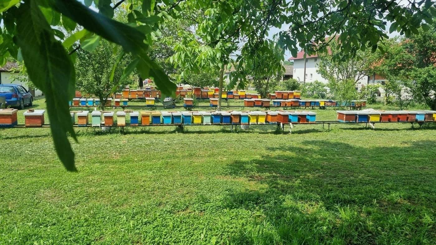 Registrovani pčelinjak — garancija kvaliteta